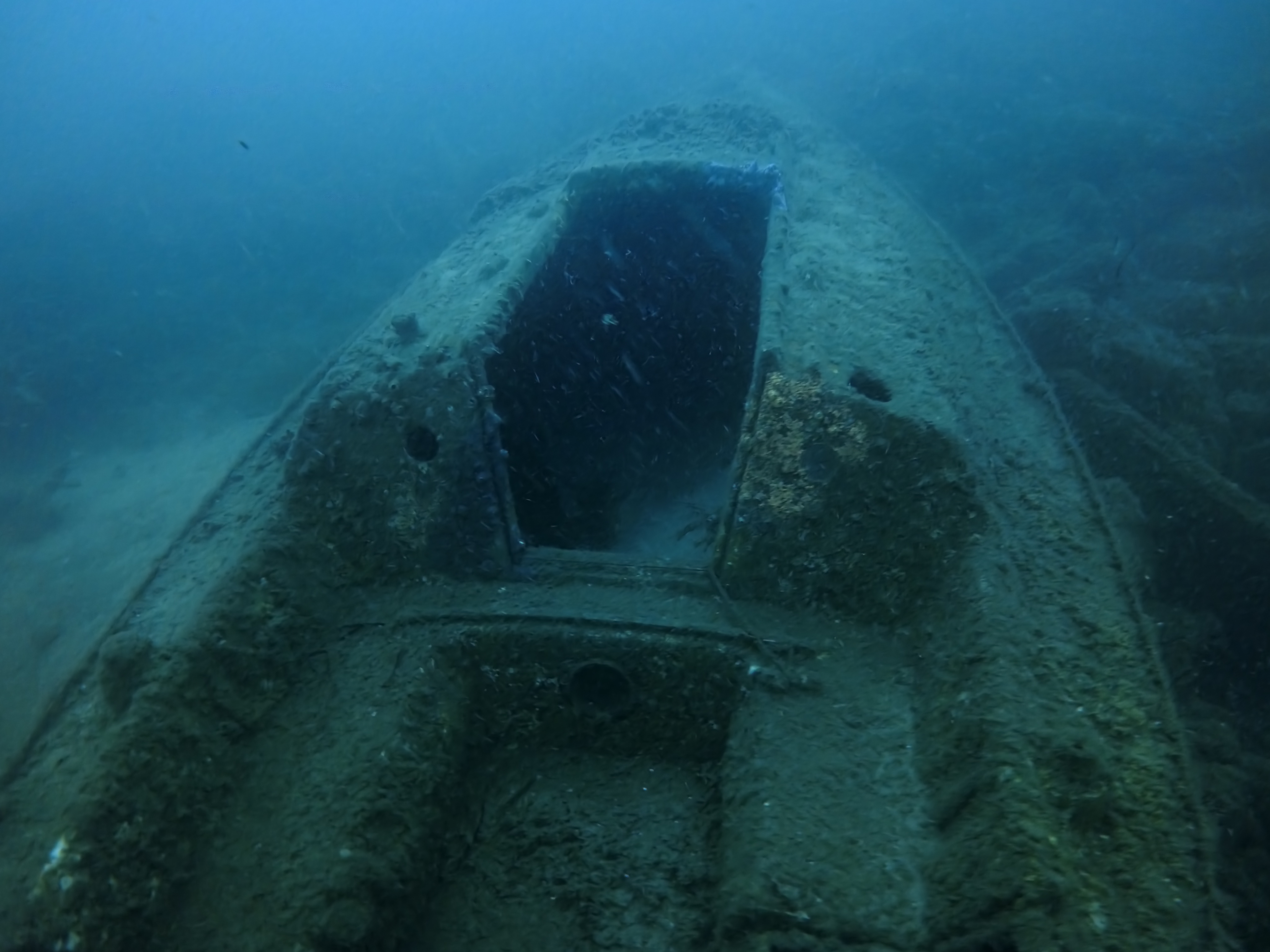 Voilier Hortense photo 1